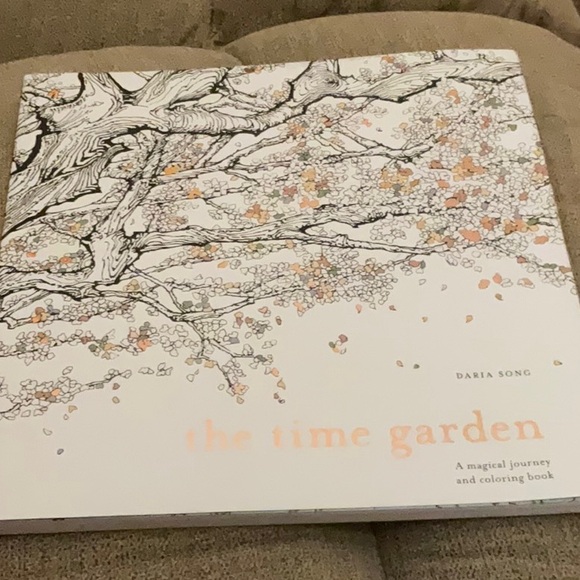 The Time Garden Adult Coloring Book 📖 by Daria Song, Magical Journey - Picture 2 of 10